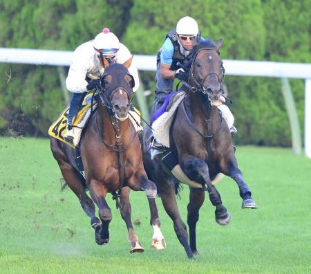 　函館芝でルルーシュ（右）は軽快な動きを披露（撮影・三好信也）