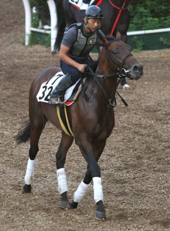 　重賞初制覇を狙うニューダイナスティ