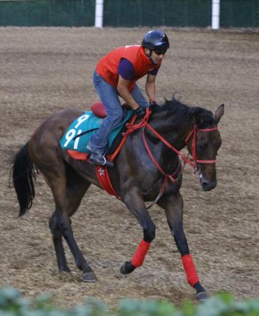 　異父兄にアルナスラインを持つアバンダンティア