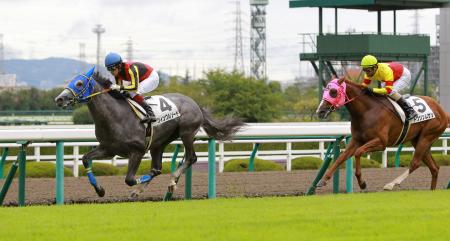 　内ラチ沿いからスルスル抜け出すツィンクルソード＝阪神競馬場（撮影・石湯恒介）