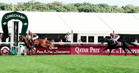 　フランス競馬のフォワ賞で快勝したオルフェーヴル（左）＝ロンシャン競馬場（共同）