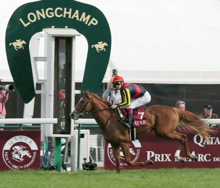 　フォワ賞を連覇したオルフェーヴル（共同）