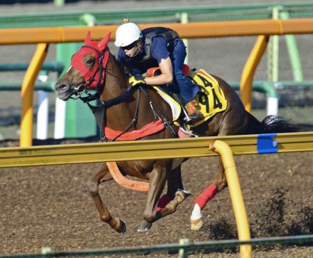 　丸田を背に美浦Ｗで追い切ったハナズゴール