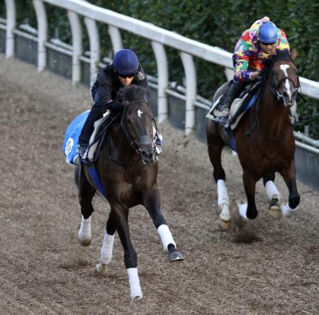 　栗東坂路でオーシャンブルー（右）と併せ馬を行ったダノンバラード（撮影・岡田育磨）