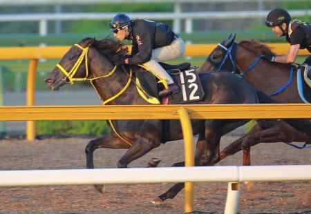 　栗東ＣＷの併せ馬で力強い伸びを見せたラストインパクト（撮影・石湯恒介）