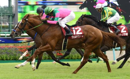 　重賞初Ｖを飾ったヴェルデグリーン（撮影・三好信也）