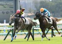 【新馬戦】グリサージュ競り勝った