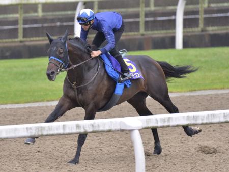 　横山典を背にサクラゴスペルは美浦Ｐで猛時計をマークした　（左）僚馬を置き去りにし、単走で疾走（右手前）＝撮影・田村亮介