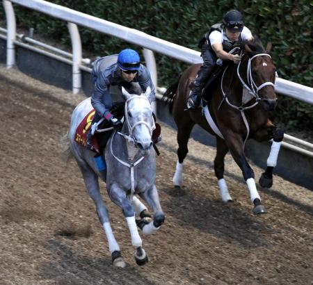　栗東坂路で追われたスマートレイアー（左）の動きを武豊は絶賛した
