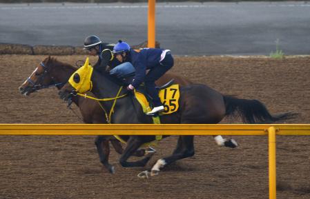 　美浦Ｗでマイネイサベル（手前）は上々の伸びを披露した（撮影・持木克友）