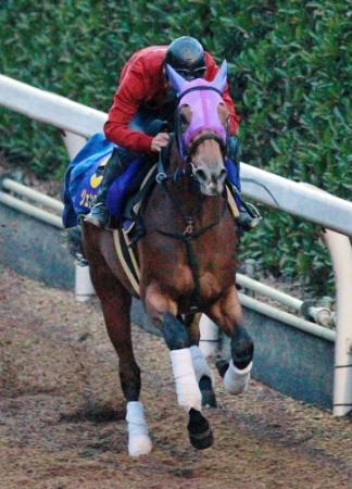 栗東坂路で追い切るジェンティルドンナ＝栗東トレセン（撮影・石湯恒介