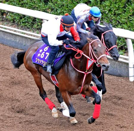 　併せ馬でハードに追われたグランプリボス（手前）