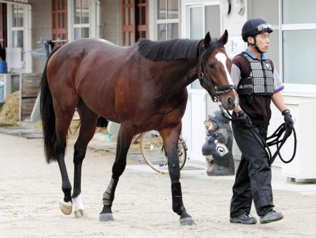 　武豊を背に逃げ切りを狙うトウケイヘイロー