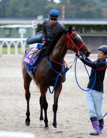 重賞２勝目を狙うメイショウナルト