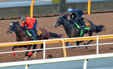 　トーセンカフェ（左）を追走するマーブルカテドラル（撮影・持木克友）