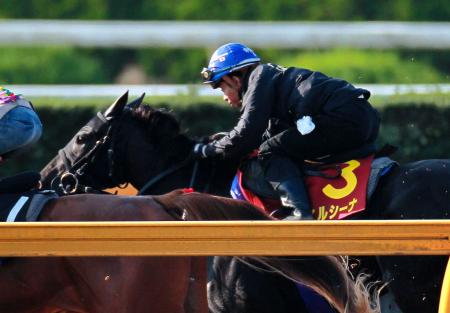 　岩田を背にヴィルシーナは栗東ＣＷで活発な動きを見せた