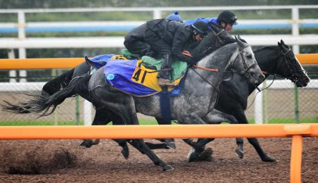 　美浦Ｗの３頭併せで追われたイジゲン（手前）は久々を感じさせない動き（撮影・三好信也）