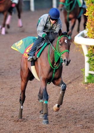 　２連勝中の上がり馬ラキシス