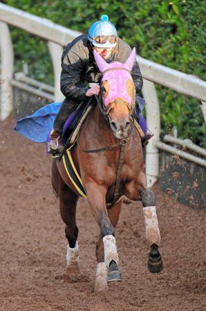 　ムーアが初騎乗。ジェンティルドンナは前の馬が蹴り上げたチップを受けてもひるまない（撮影・石湯恒介）