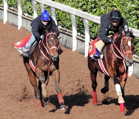 　栗東坂路で併せ馬を行ったグランプリボス（左）