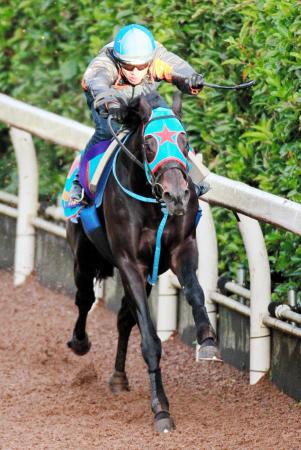 　和田を背に栗東坂路で一杯に追われるサダムパテック