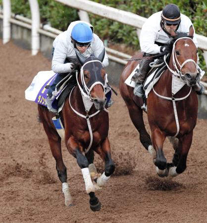 　栗東坂路で追い切るダノンシャーク（左）。福永は好感触だ（撮影・佐々木彰尚）