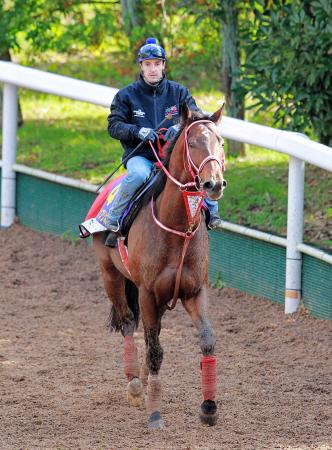 　グランプリボスでマイルＣＳ制覇を狙うルメール（撮影・石湯恒介）