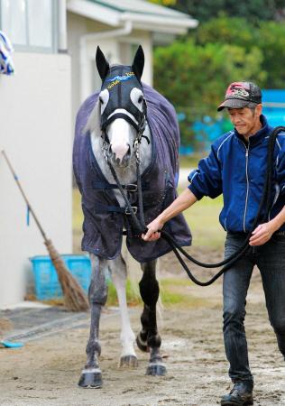 　京都大賞典の雪辱と有馬記念へ弾みをつけたいゴールドシップ