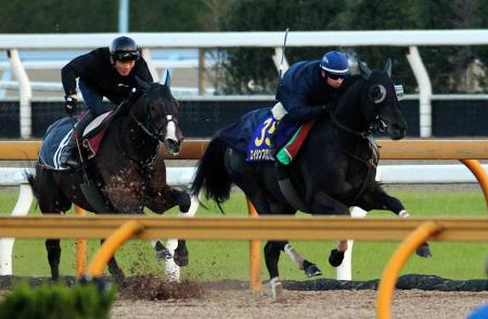 　栗東ＣＷで追い切ったエイシンフラッシュ（右）＝撮影・岡田育磨