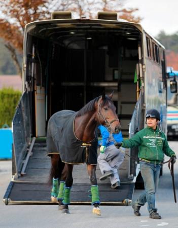 栗東トレセンに降り立つウオッカの初子のボラーレ