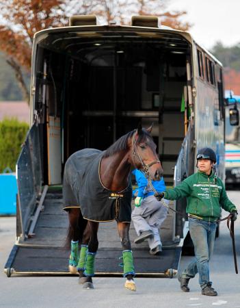 　栗東トレセンに降り立つウオッカの初子ボラーレ