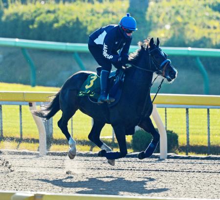 　東京ダートで追い切ったシメノン（撮影・三好信也）