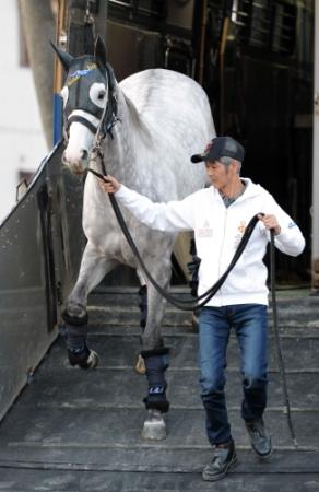 東京競馬場に到着したゴールドシップ＝（撮影・田村亮介）