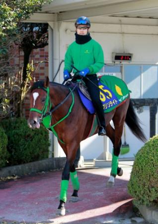 　伸び盛りの３歳馬クリソライトが一発を狙う（撮影・石湯恒介）