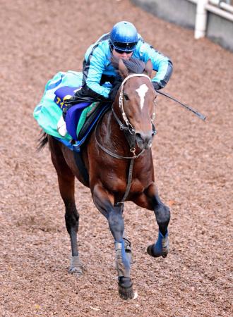 　小牧を背に栗東坂路で追い切るナイスミーチュー（撮影・石湯恒介）