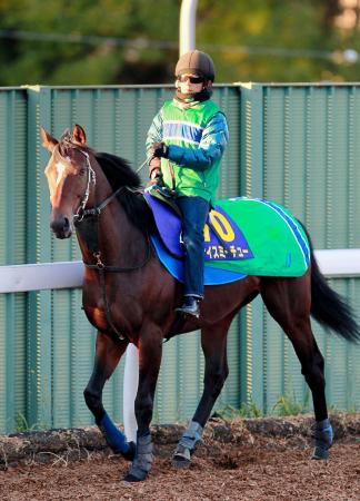 　得意の阪神でＧ１初制覇を狙うナイスミーチュー