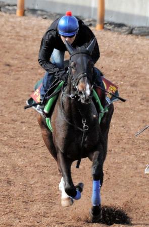 　田辺が成長を喜ぶマーブルカテドラル（撮影・田村亮介）