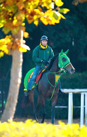 　Ｇ１仕様の仕上げが施されたクリスマス