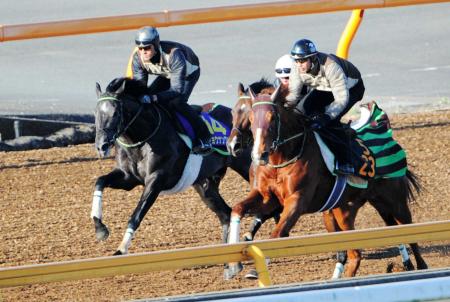 　美浦Ｗで追い切ったショウナンワダチ（左）（撮影・三好信也）