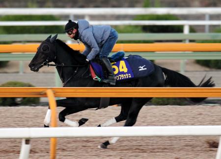 　栗東ＣＷで躍動したエイシンフラッシュ。ラストランへ攻め気配は抜群だ（撮影・持木克友）