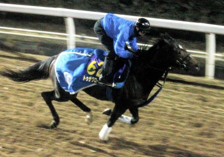 　栗東坂路を駆け上がるトゥザグローリー