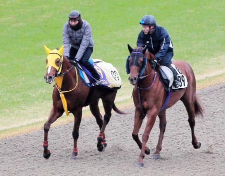 　栗東ＤＰで併せ馬を行ったタマモベストプレイ（左）