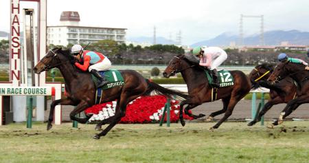 　直線で馬群から抜け出したワンアンドオンリー（左）＝撮影・持木克友