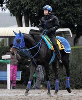 【中山金杯】チョウサン飛躍の年にする