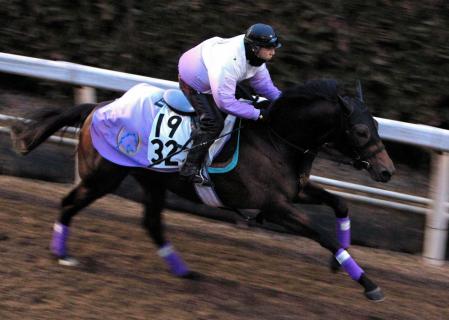 　重賞初Ｖを目指し、朝一番の栗東坂路を疾走するプリムラブルガリス