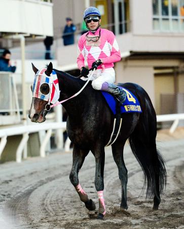 　２着に敗れ引き揚げるワンダーアキュートと武豊