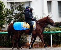 【中山金杯】武士沢レインで福つかむ