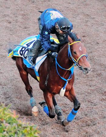 　栗東坂路で追い切るオースミナイン。充実ぶりを見せつけた