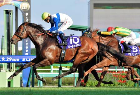 　年間Ｇ１・４勝で年度代表馬に選ばれたロードカナロア（左＝スプリンターズＳ制覇時）