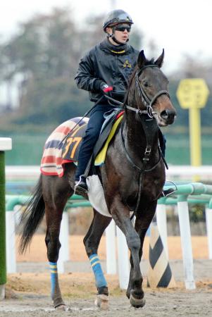 　無傷３連勝での重賞初Ｖを狙うエアアンセム